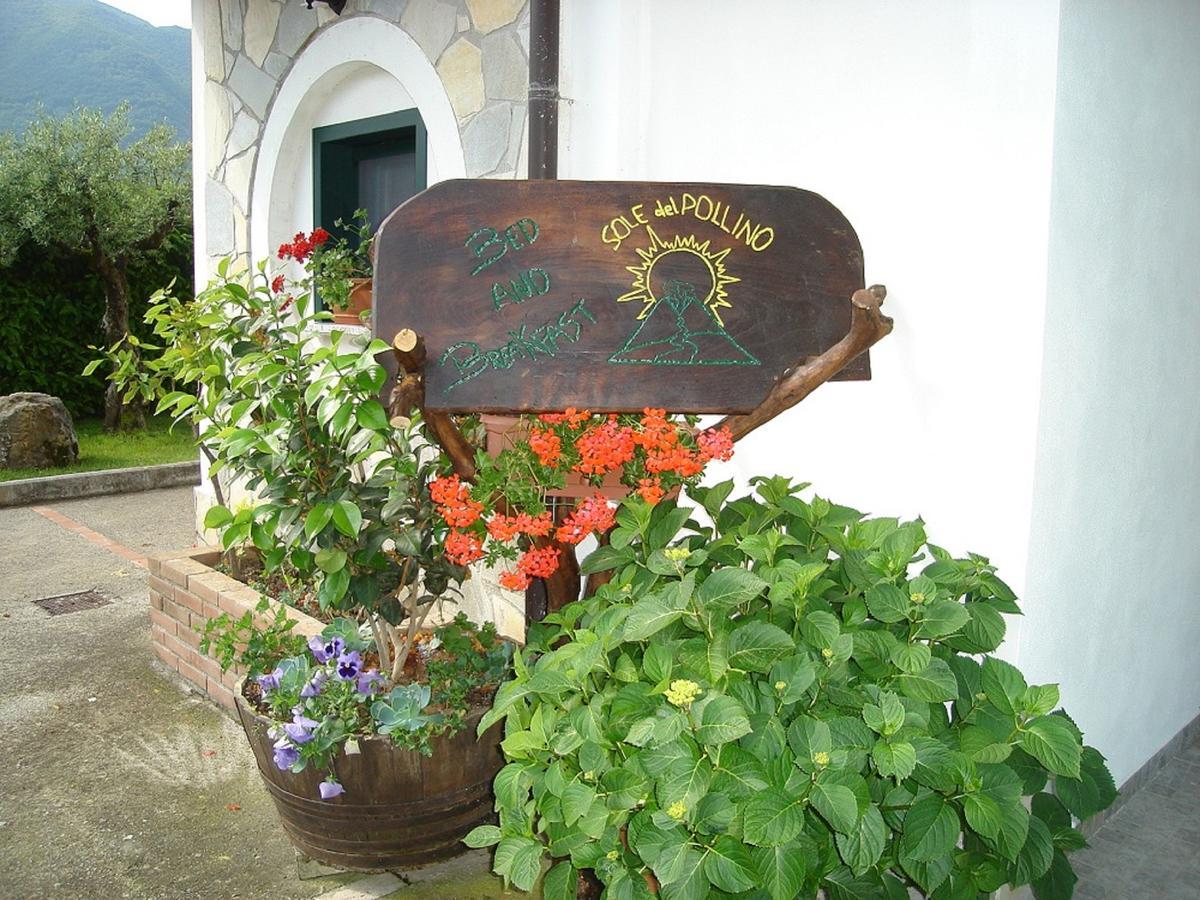 B&B Sole Del Pollino Rotonda Eksteriør bilde